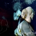 batfish_longfin_jk_h_0705_png0556.jpg